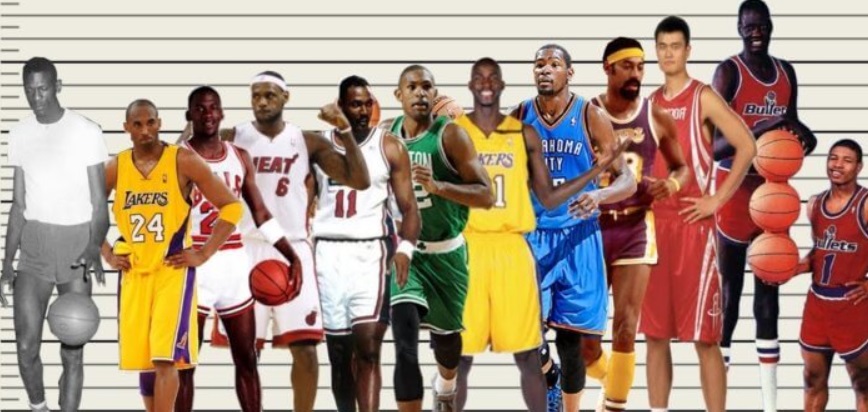 Какой рост должен быть у баскетболиста?
